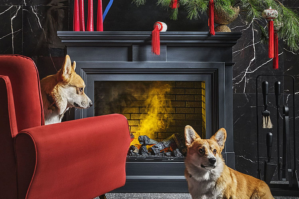 Dimplex Coventry серый_6 Dimplex Coventry серый_6